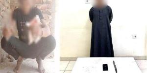 ضبط المتهم بالتعدي على «قطة» بسلاح أبيض في الأقصر - تكنو بلس