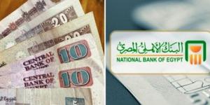 أعلى عائد على شهادات ادخار البنك الأهلي ذات العائد المتدرج السنوي - تكنو بلس