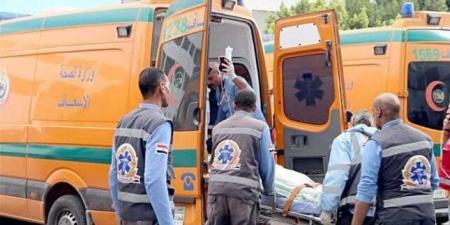 مصرع زوجين في حادث تصادم مروع ببورسعيد - تكنو بلس