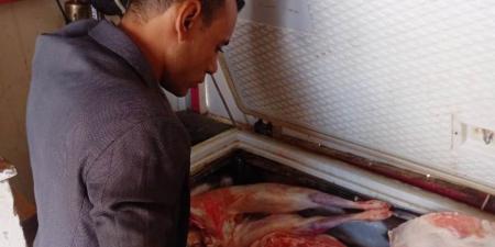 الطب البيطرى يضبط 200 كجم من اللحوم الغير صالحة للإستهلاك الآدمى - تكنو بلس