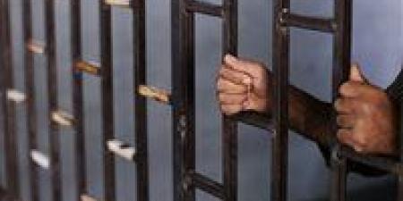 بمدخل عمارة.. ضبط عاطل حاول الاعتداء على طفلتين في إمبابة - تكنو بلس