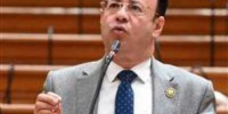 نائب بمناقشات مزاولة مهنة الصيدلة: يجب مواجهة سلاسل الصيدليات ووضع حد للأزمة - تكنو بلس