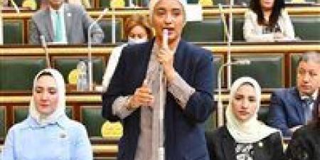 الحكومة تستجيب للنائبة أميرة أبوشقة بشأن دفعة صيدلة 2019 - تكنو بلس