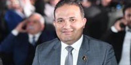 تامر عبد الحميد: القفزة التاريخية في تحويلات المصريين بالخارج دليل على نجاح الإصلاحات الاقتصادية - تكنو بلس