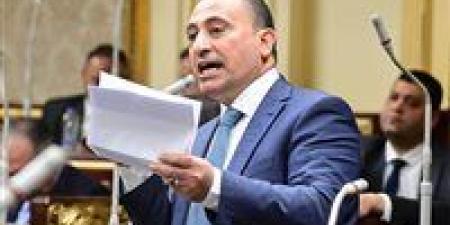 النائب محمد زين الدين يطالب بقانون جديد لمزاولة مهنة الصيدلية.. ويدعو لتشديد الرقابة على الصيدليات - تكنو بلس
