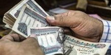 تبكير صرف مرتبات مايو 2025 وتطبيق الزيادات الجديدة في الأجور والمعاشات - تكنو بلس