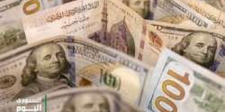 آخر تحديث .. سعر الدولار اليوم مقابل الجنيه المصري الأحد 18 مايو 2025 - تكنو بلس