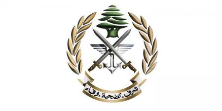 الجيش حذّر من افتعال إشكالات وإطلاق النار: توقيف 4 مواطنين ببعلبك ودروس لحيازتهم مسدسات حربية - تكنو بلس