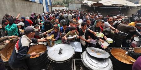 طحن وخبز المعكرونة والعدس.. آخر حيل الغزيين لمواجهة المجاعة - تكنو بلس