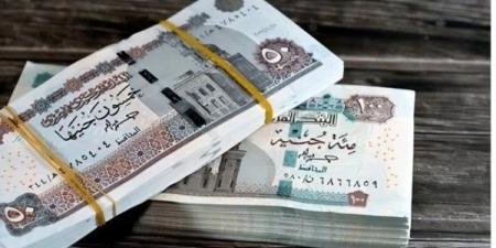 جدول المعاشات الجديد 2025 بعد تطبيق الزيادة.. اعرف هتقبض كام - تكنو بلس