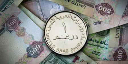 أسعار الدرهم الإماراتي في مصر اليوم.. الثلاثاء 20 مايو 2025 - تكنو بلس