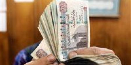 700 جنيه زيادة في المرتبات ومنحة للعاملين بشركات قطاع الأعمال والمعاشات أول يوليو.. تفاصيل قانون العلاوة والحافز الاضافي - تكنو بلس