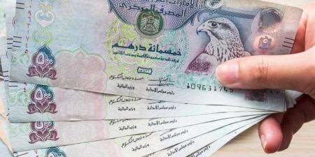 سعر الدرهم الإماراتي مقابل الجنيه المصري اليوم الخميس 22 مايو 2025 - تكنو بلس
