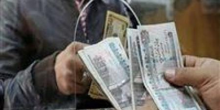 الحصول على دعم مالي شهري مقدم من وزارة التضامن الاجتماعي.. الخطوات والشروط - تكنو بلس