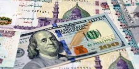 سعر الدولار مقابل الجنيه اليوم.. ارتفاع في البنوك المصرية - تكنو بلس