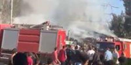 السيطرة على حريق بمخزن كراتين بالكردى فى الدقهلية - تكنو بلس