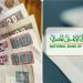 ما هو أعلى سعر عائد على شهادات الادخار البلاتينية في البنك الأهلي المصري؟ - تكنو بلس