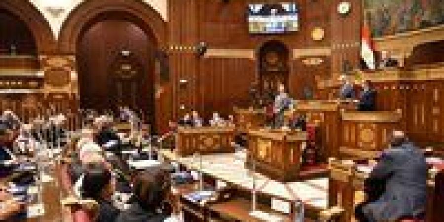 الشيوخ يحيل اقتراح النائب سليمان الزملوط بشأن تنمية المنطقة الساحلية بشمال سيناء إلى الحكومة - تكنو بلس