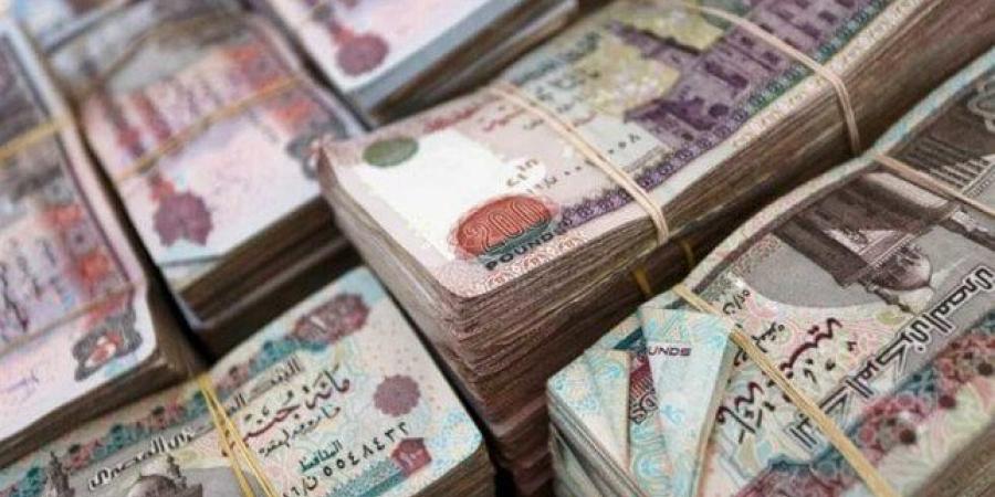 بهذا الموعد.. صرف مرتبات شهر مايو 2025 - تكنو بلس
