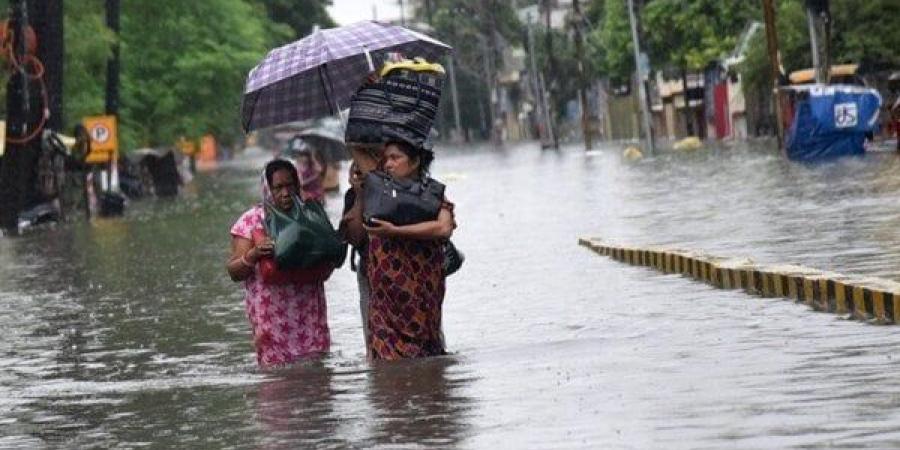 14 قتيلاً على الأقل جراء أمطار غزيرة في ولاية غوجارات الهندية - تكنو بلس