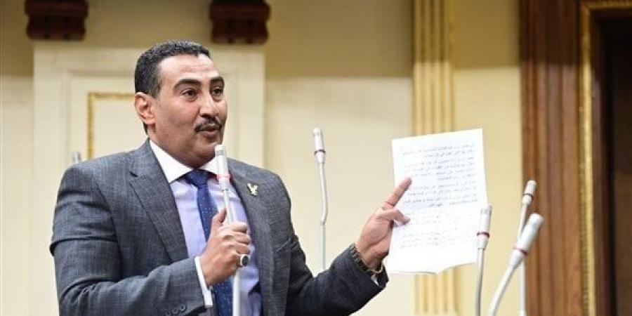 «برلماني»: غش البنزين ظاهرة منذ أكثر من عام - تكنو بلس