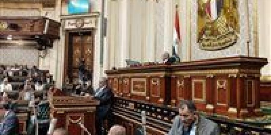 قبل مناقشته بالبرلمان.. تفاصيل تعديلات الخاصة بقانون مزاولة مهنة الصيدلة - تكنو بلس