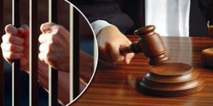 بعد قليل.. استكمال محاكمة 73 متهمًا في قضية «خلية التجمع الإرهابية» - تكنو بلس