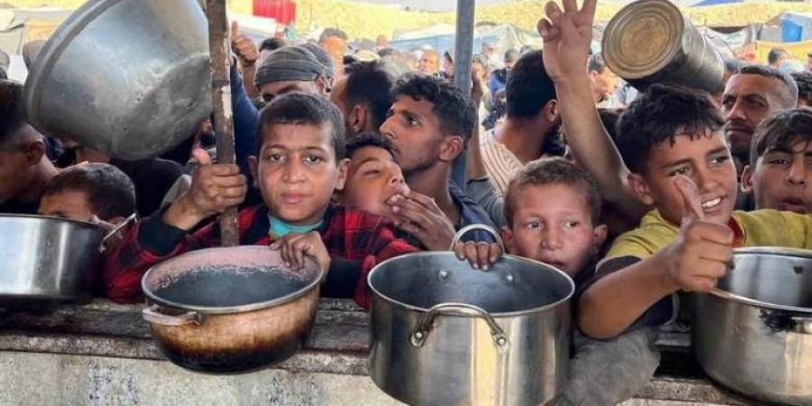 برنامج الغذاء العالمي: الجميع في غزة جائع - تكنو بلس