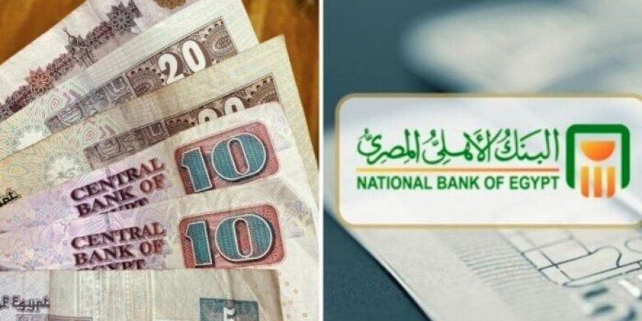 ما هو أعلى سعر عائد على شهادات الادخار البلاتينية في البنك الأهلي المصري؟ - تكنو بلس