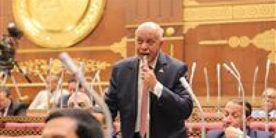النائب حازم الجندي يتقدم باقتراح برغبة لإنشاء منطقة حرة للصناعات الصغيرة والمغذية للمصريين في الخارج - تكنو بلس
