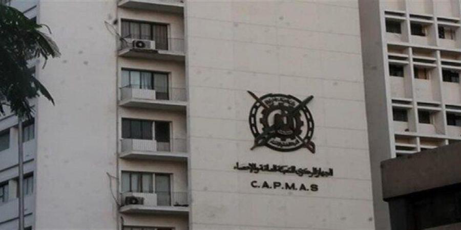 التعبئة والاحصاء: معدل البطالة 6.3٪ خلال الربع الأول لعام 2025 - تكنو بلس
