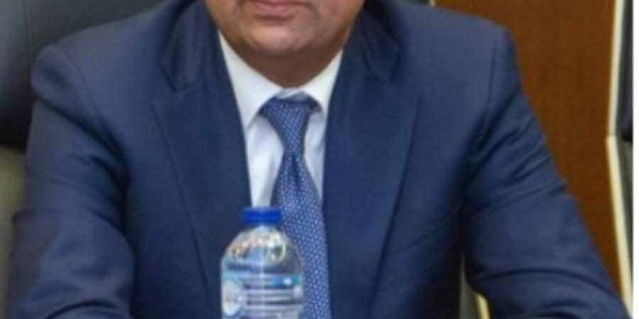 بعثة صينية بالقاهرة الخميس المقبل لاستكشاف فرص الاستثمار - تكنو بلس