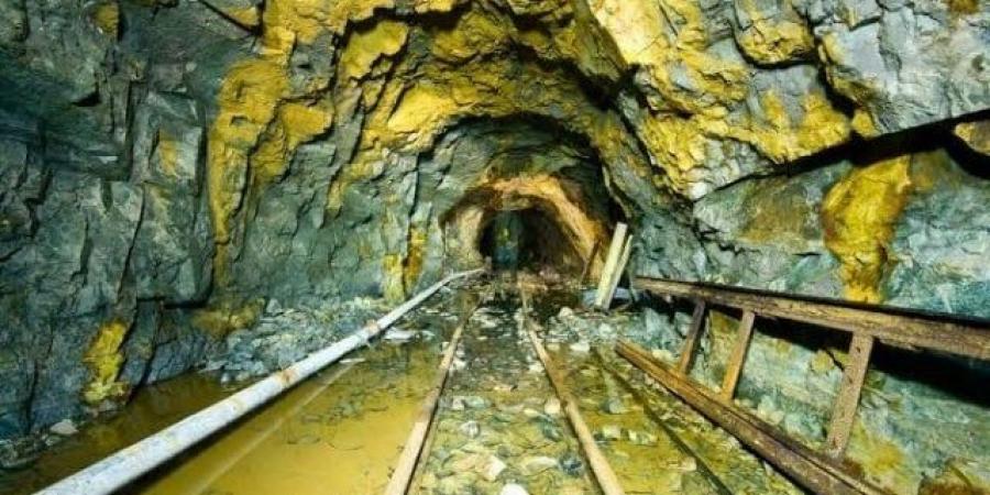 مدبولي: دعم موجه من الدولة لاستثمارات الشركة المشغلة لمنجم السكري - تكنو بلس