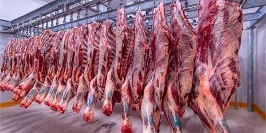 مصر.. أسعار اللحوم الطازجة والمجمدة داخل المجمعات الاستهلاكية - تكنو بلس