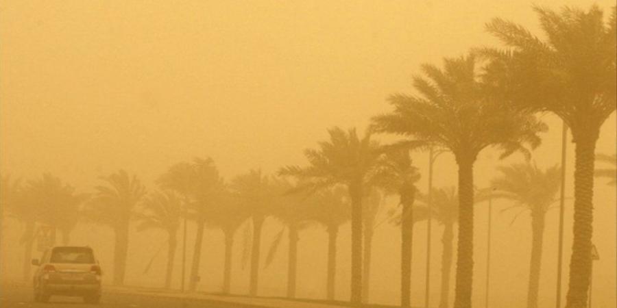 طقس الشرقية.. تنبيه من أتربة مثارة ورياح وشبه انعدام في الرؤية - تكنو بلس