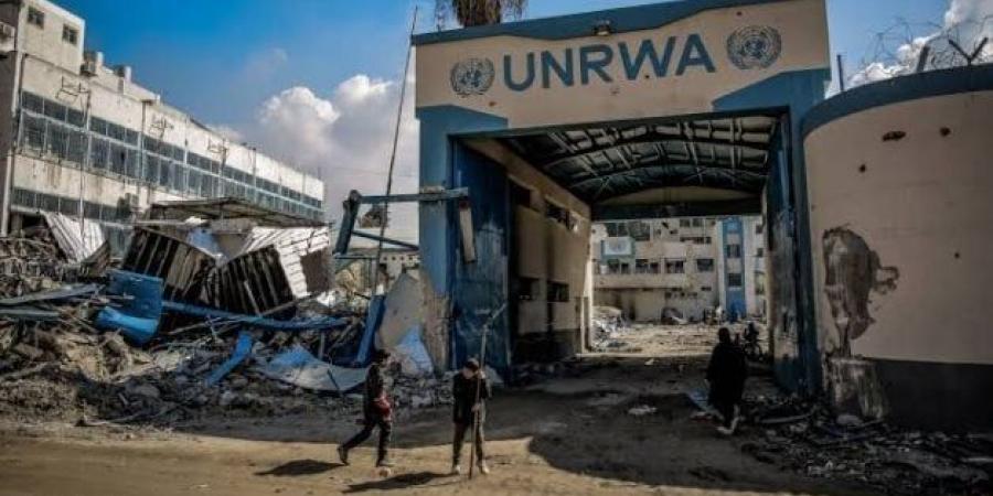 متحدثة الأونروا: الوضع فى غزة مروع ولا يغتفر - تكنو بلس