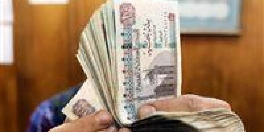700 جنيه..تعرف على قيمة الحافز الإضافي للعاملين بالدولة وفقاً للقانون الجديد - تكنو بلس