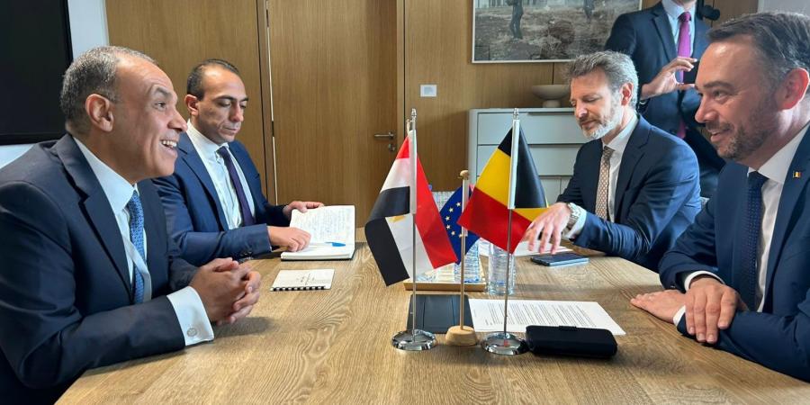 وزير الخارجية: يجب تكثيف المساعدات لمواجهة الوضع الإنسانى الكارثى في غزة - تكنو بلس