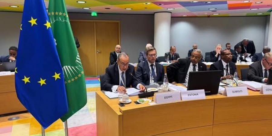 وزير الخارجية: يجب تعميق الشراكة بين الاتحادين الأوروبى والإفريقى لمكافحة الإرهاب وحماية الأمن البحري - تكنو بلس