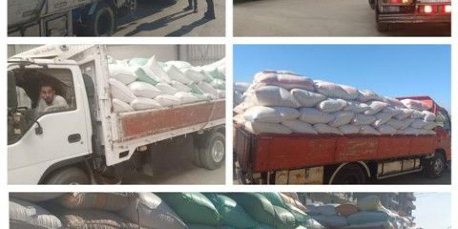 توريد 250 ألف طن قمح بالبحيرة - تكنو بلس