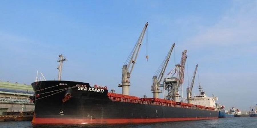 تداول 64 الف طن 1181 شاحنة بضائع عامة ومتنوعة بموانئ البحر الأحمر - تكنو بلس