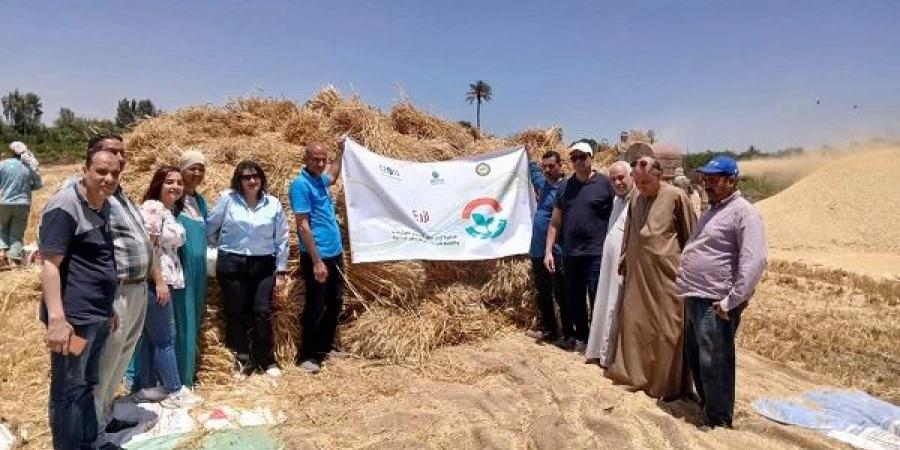 حصاد القمح بالمحافظات ضمن فعاليات مبادرة "ازرع" - تكنو بلس