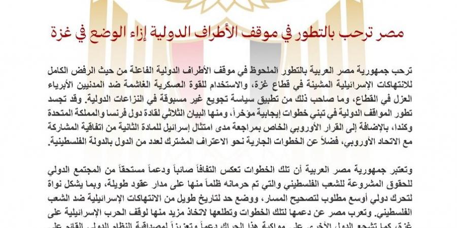 مصر ترحب بالتطور في موقف الأطراف الدولية إزاء الوضع في غزة - تكنو بلس