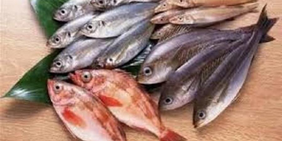 أسعار الأسماك اليوم الجمعة 23 مايو 2025  - تكنو بلس