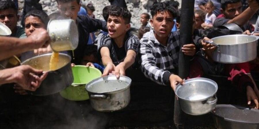 المدير العام لمنظمة الصحة العالمية يحض إسرائيل على إظهار الرحمة في غزة - تكنو بلس