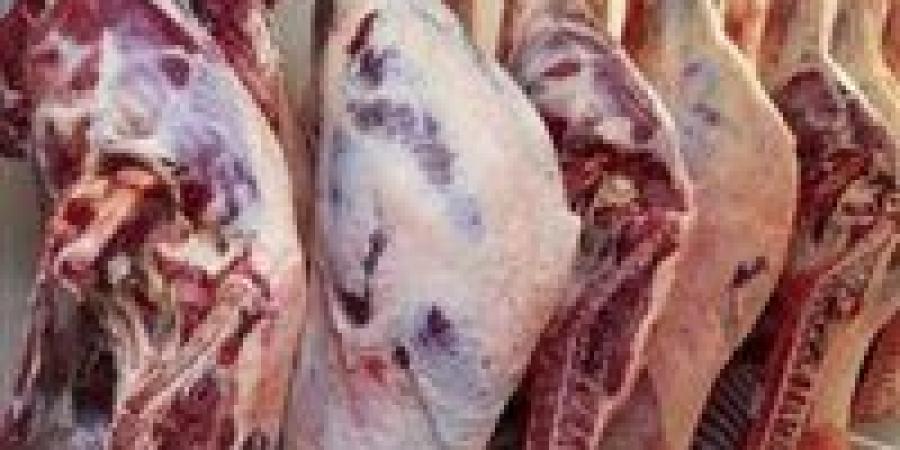 وزير الزراعة: نوفر اللحوم قبل عيد الأضحى بأسعار تقل عن السوق بـ10 لـ15 جنيه - تكنو بلس