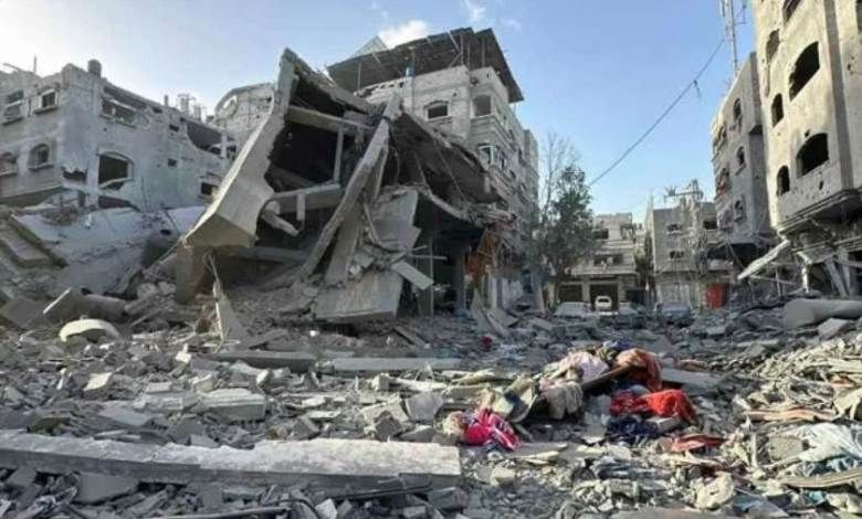 العربي للعدل والمساواة ارتفاع حصيلة ضحايا العدوان الإسرائيلي على غزة إلى 51 ألفًا و495 شهيدًا