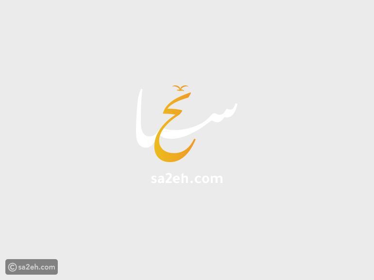 يوم الرقص العالمي: لغة عالمية تتخطى الحواجز