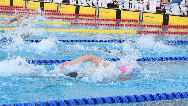 العربي للعدل والمساواة مصر تنافس جنوب إفريقيا للحفاظ على صدارة البطولة الأفريقية للسباحة للشباب