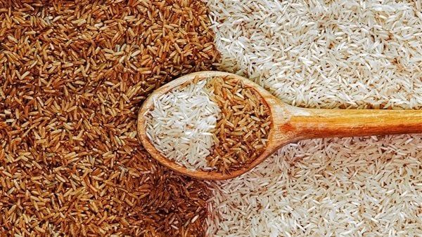 سعر الأرز الشعير اليوم